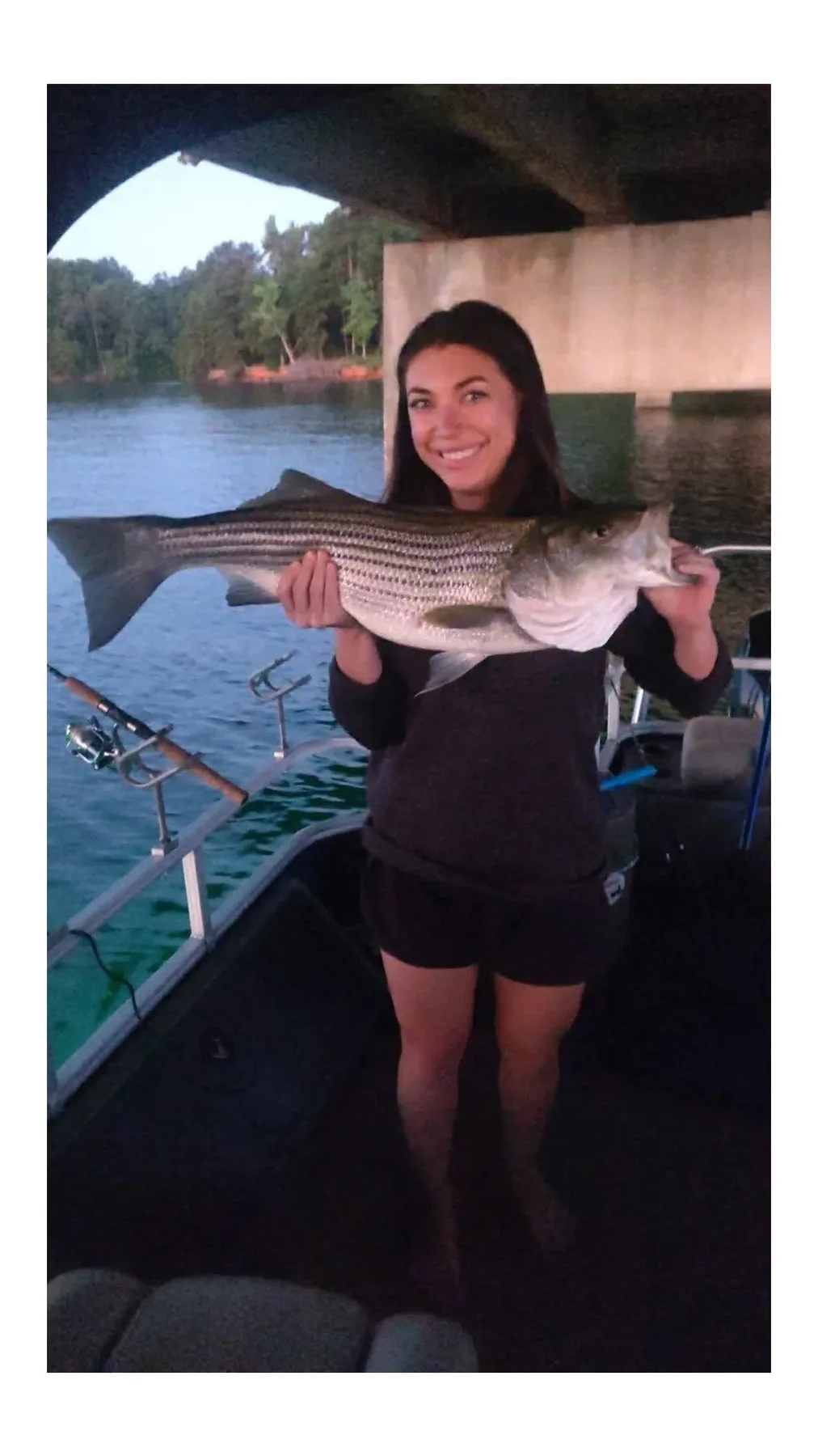 Lake Hartwell striper fishing with Reel Rabb — guided trip photo 14